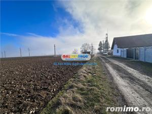 Teren Tohanu Vechi 5 km Bran 25 km Brasov - imagine 10