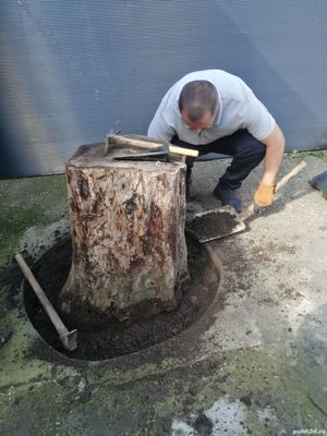 Taiere toaletare copac,defrisare teren,sapam maruntim si nivelam pamint gradini,Cosire vegetatie - imagine 12