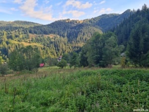 Teren fâneata si pădure un munții Apuseni  - imagine 2