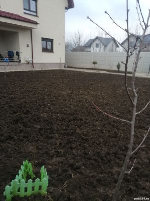 Taiere toaletare copac,defrisare teren,sapam maruntim si nivelam pamint gradini,Cosire vegetatie - imagine 18