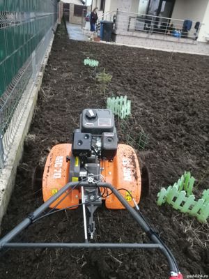 Taiere toaletare copac,defrisare teren,sapam maruntim si nivelam pamint gradini,Cosire vegetatie - imagine 19