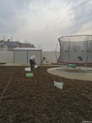 Taiere toaletare copac,defrisare teren,sapam maruntim si nivelam pamint gradini,Cosire vegetatie - imagine 20