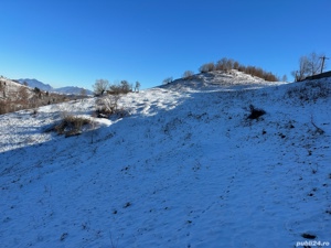 Teren 21000 mp in zona Pestera-Moieciu, la 5 km de Bran - imagine 3