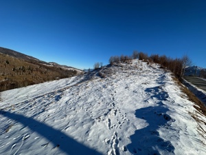 Teren 21000 mp in zona Pestera-Moieciu, la 5 km de Bran - imagine 5