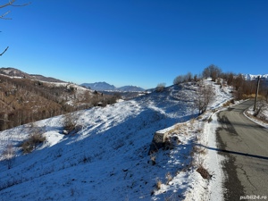 Teren 21000 mp in zona Pestera-Moieciu, la 5 km de Bran - imagine 6