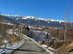 Teren 21000 mp in zona Pestera-Moieciu, la 5 km de Bran - imagine 10