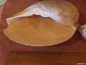 Decor de bar, marin, marinăresc, pescăresc - imagine 3