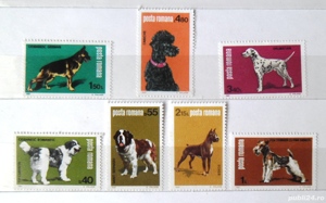 Timbre Expoziția Canină - 1981