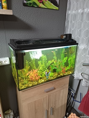 Acvariu cu pesti 150L