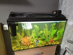 Acvariu cu pesti 150L - imagine 2