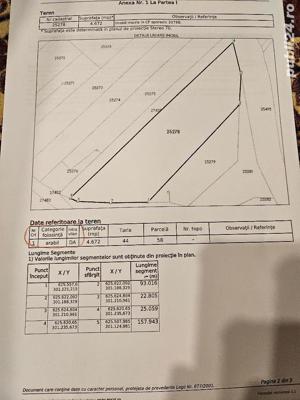 Teren  intravilan, 5900mp, Acces din DN4, COMUNA CURCANI JUDETUL CALARASI  - imagine 7