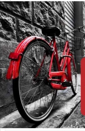 Personal necalificat pentru Slovacia.  - imagine 3