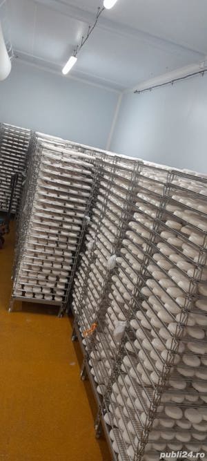 Personal necalificat pentru Slovacia.  - imagine 5