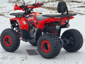 ATV 125cc PRO Hunter XL Jante 8'' cutie DN+R Automat - imagine 6