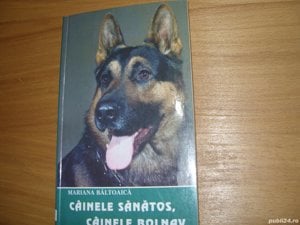 Cainele sanatos, cainele bolnav