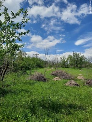 Ofer teren pentru - panouri fotovoltaice, - parcare rulote, etc! - imagine 1