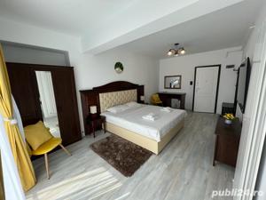 Cazare LUX Regim Hotelier Iasi Palas - Newton - Copou - imagine 4