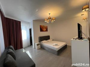 Cazare regim hotelier B dul Unirii,Floreasca Tei,Pipera - imagine 7