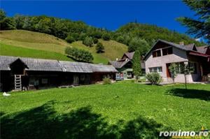 Teren generos de 9400 mp cu casa de locuit si potential de extindere in Dambovicioara, Arges - imagine 4