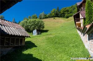 Teren generos de 9400 mp cu casa de locuit si potential de extindere in Dambovicioara, Arges - imagine 13