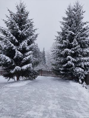 Cazare Cabana Crina Toplița, Harghita  - imagine 2