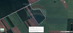 Teren 25.26ha Dascalu / DJ 200