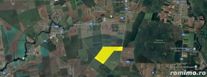 Teren 25.26ha Dascalu / DJ 200 - imagine 3