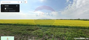 Teren 25.26ha Dascalu / DJ 200 - imagine 8