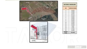 Teren 25.26ha Dascalu / DJ 200 - imagine 5