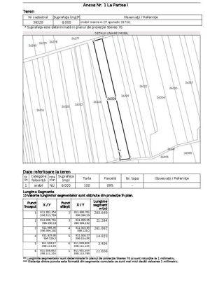 Teren agricol 2.6ha, Tulcea, Valea Nucărilor - imagine 6