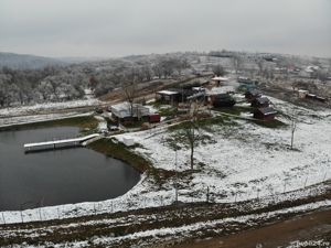 Locatie cu balta de pescuit si cabanute din lemn de vanzare , la 40 km de Timisoara - imagine 12