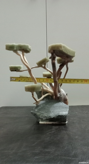 Vand cioată decor acvariu  - imagine 3 Vand cioată decor acvariu  - imagine 3