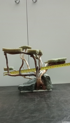 Vand cioată decor acvariu  - imagine 2 Vand cioată decor acvariu  - imagine 2