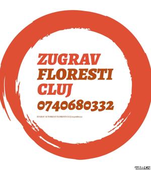 Zugrav, PFA, reparații diverse,reconditionat faianță, lavabil, vopsele, glet, gauri - imagine 2