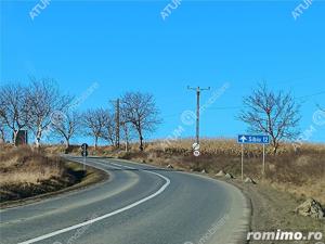 Teren pretabil investitie in Daia judet Sibiu - imagine 17