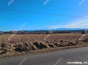 Teren pretabil investitie in Daia judet Sibiu - imagine 16