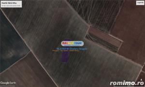 Adunatii Copaceni teren intravilan  14700 mp,deschidere 62m - imagine 3