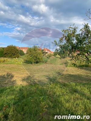 Casă de vanzare in Loc.Tasad, Com. Dragesti, Bihor - imagine 17