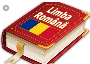 Meditații limba româna 