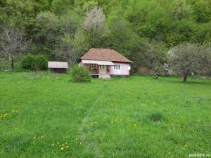 Teren și casă de vânzare - imagine 3