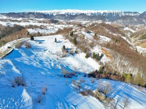 Teren 21000 mp in zona Pestera-Moieciu, la 5 km de Bran - imagine 17