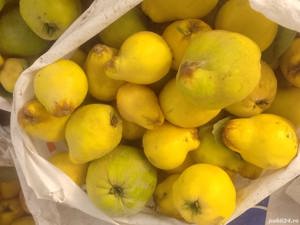 Palinca de gutui - imagine 3