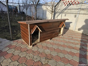 Causca,cuști la comanda - imagine 3