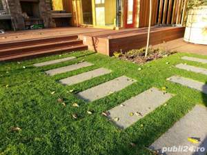 Pasi japonezi gradina