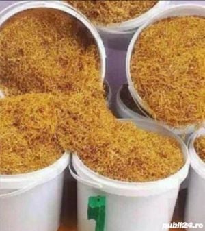 Tutun la OFERTA! 2kg+500 gr BONUS