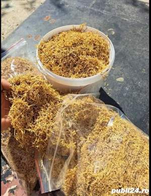 tutun firicel PREMIUM