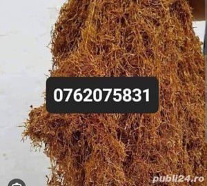 TUTUN DE FABRICA SIGILAT LA GALETUSA GALBEN AURIU 0.1MILIMETRI 