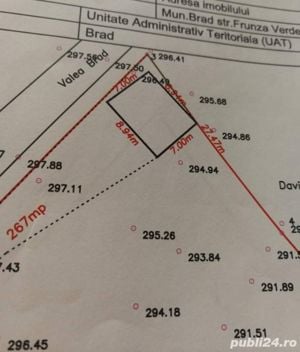 Vand teren 3000 mp in Brad, autorizatie de construire 300 mp - imagine 2