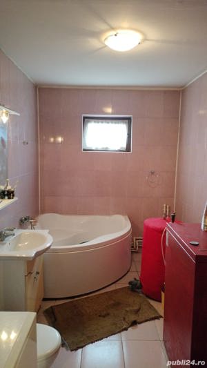 Conac cu mansardă și garaj la țară zonă liniștită cu livadă și vie 30 km distanță de Brăila - imagine 8