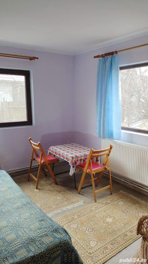 Conac cu mansardă și garaj la țară zonă liniștită cu livadă și vie 30 km distanță de Brăila - imagine 10